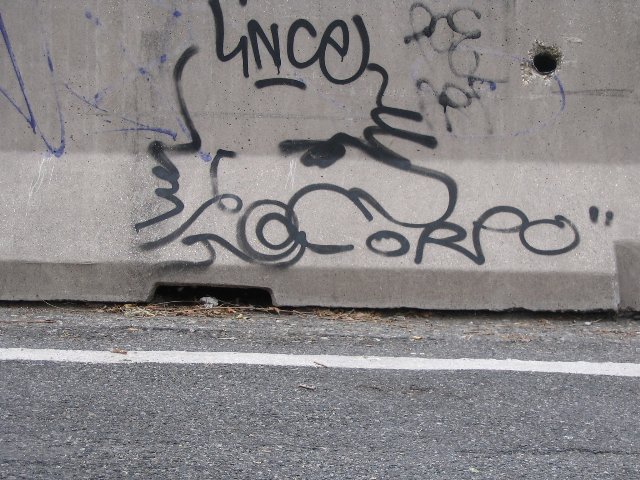 LINCE + CORPO
